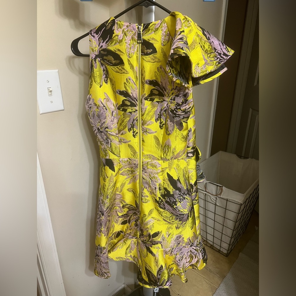 Bebe Ruffle Dress - Picture 4 of 4